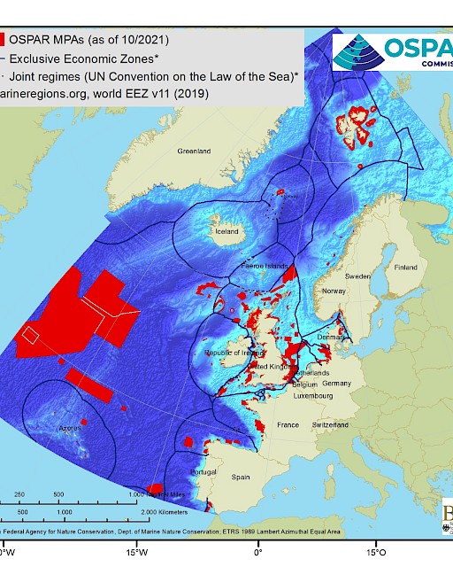 MPA network assessment