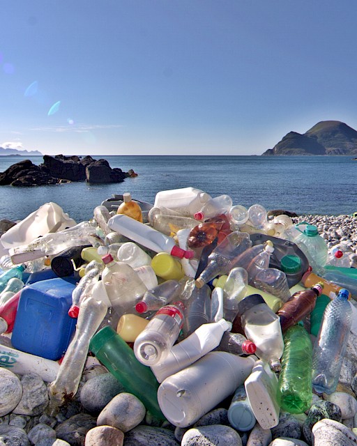 Beach litter