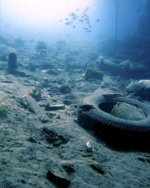 Seabed litter