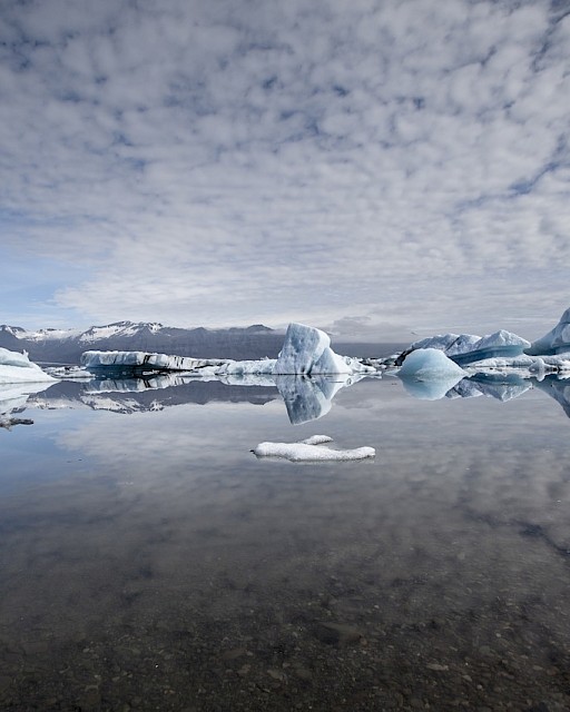 The Arctic Council