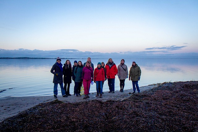 Friday Ocean Findings Issue 60: Protection and conservation of species and habitats