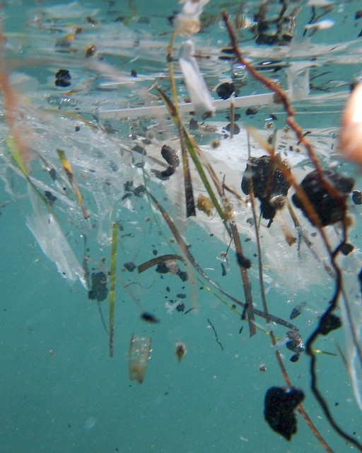 OSPAR Best environmental practice to address marine litter